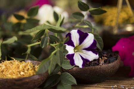 Homeopathy, herbal medicine on wooden tableの写真素材