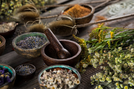 Fresh medicinal herbs on wooden backgroundの写真素材