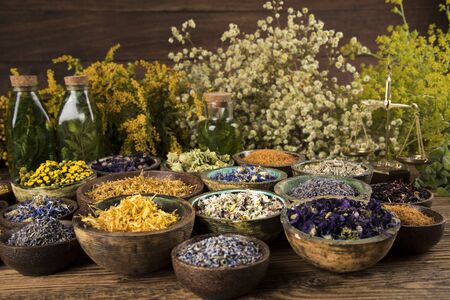 Homeopathy, herbal medicine on wooden tableの写真素材