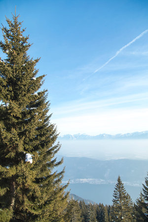 Mountains, trees covered with white snow