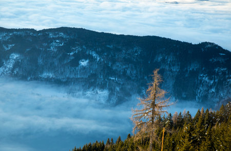 View of beautiful Winter mountain landscape