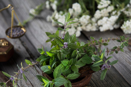 Homeopathy, herbal medicine on wooden table