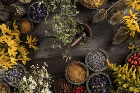 Homeopathy, herbal medicine on wooden tableの写真素材