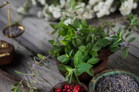 Homeopathy, herbal medicine on wooden tableの写真素材
