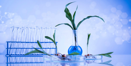 Chemical laboratory glassware, Genetically modified plantの写真素材