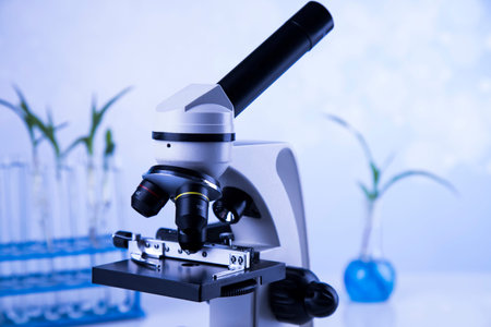 Plant in a test tube of the scientist