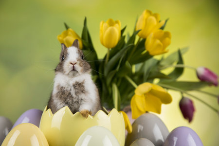 Egg, Little bunny, happy easter background