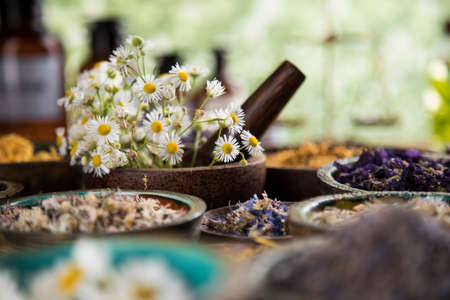 Homeopathy, herbal medicine on wooden tableの写真素材