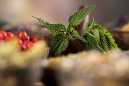 Homeopathy, herbal medicine on wooden tableの写真素材