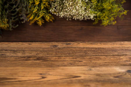 Space for your text, Natural medicineの写真素材