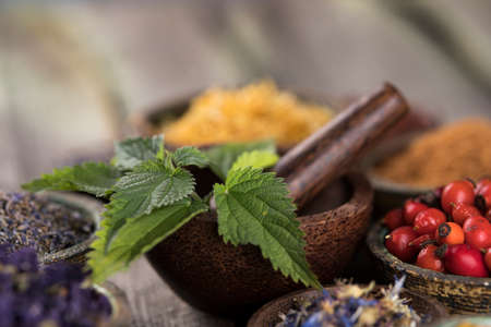 Alternative health, fresh herbal and mortar on wooden backgroundの写真素材