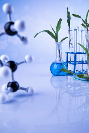 Plant laboratory experimental, Chemical glasswareの写真素材