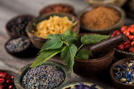 Alternative health, fresh herbal and mortar on wooden backgroundの写真素材