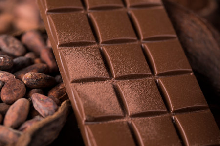 Chocolate Collection, Cocoa pod, candy sweet, dessert