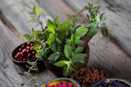 Natural remedy, healing herbs backgroundの写真素材