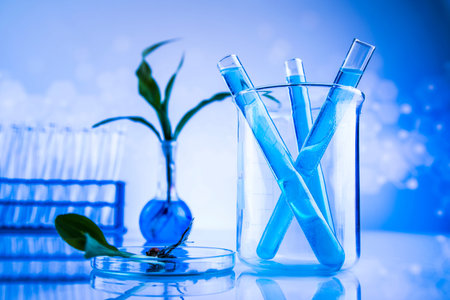 Plant laboratory experimental, Chemical glassware