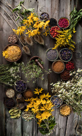 Alternative medicine, dried herbs backgroundの写真素材