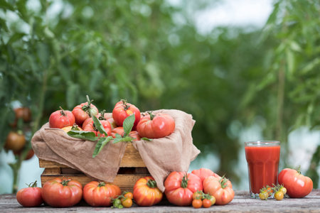 Fresh tomatoes and glass of tomato juice on wooden table in the gardenの写真素材