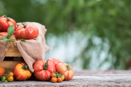 Fresh tomatoes in wooden box on wooden table with blurred garden background.の写真素材