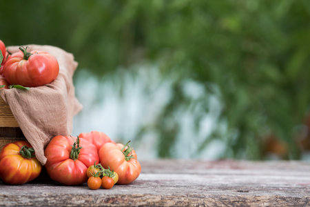 Fresh tomatoes on wooden table in front of blurred background. Selective focus.の写真素材