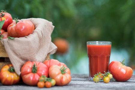 Tomato juice in glass and fresh tomatoes on wooden table in gardenの写真素材