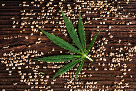 Cannabis leaf and seeds on wooden background. Cannabis leaves and seeds.の写真素材