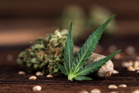 Cannabis buds with seeds on wooden table, close-upの写真素材