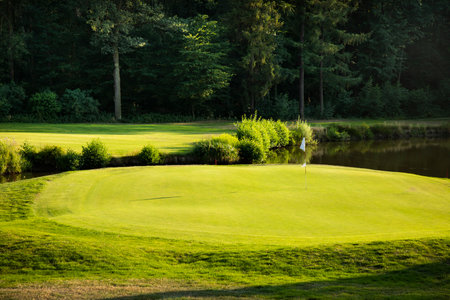 Golf course with green grassの写真素材