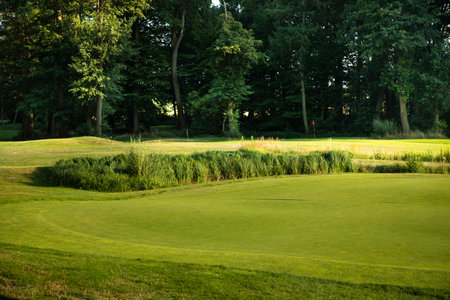 Golf course with green grassの写真素材