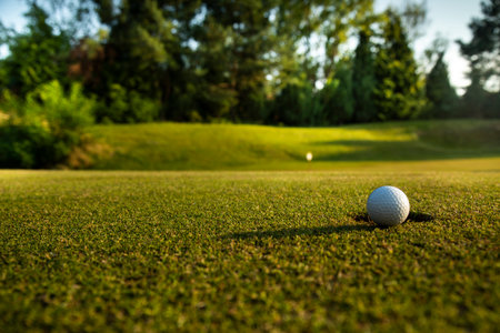 Close up of golf ball on green grass, Sport and lifestyleの写真素材