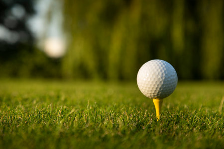 Closeup Golf ball on green grass on courseの写真素材