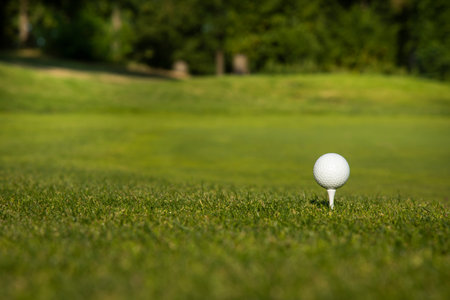 Golf ball on the golf courseの写真素材