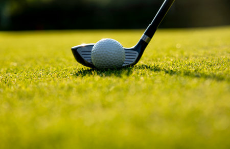 Sport and lifestyle, golf player playing in a golf clubの写真素材