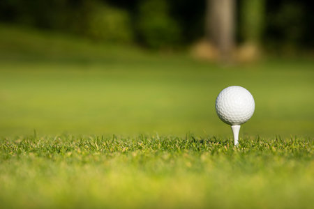 Golf ball and clubs in golf fieldの写真素材