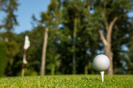 Golf ball on the golf courseの写真素材