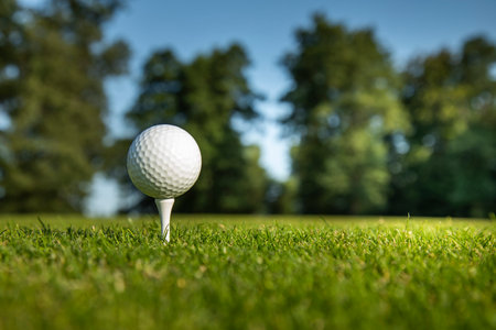 Golf course with ball and grassの写真素材
