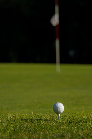 Golf ball on the golf courseの写真素材