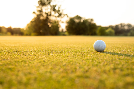 Close up of golf ball on green grass, Sport and lifestyleの写真素材