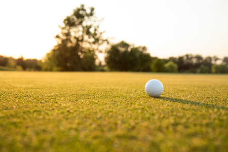 Close up of golf ball on green grass, Sport and lifestyleの写真素材