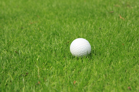 Golf ball on a grassの写真素材