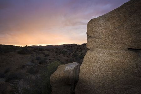 sunset in Joshua Tree National Park, in the Mojave Desert of Southern Californiaの写真素材