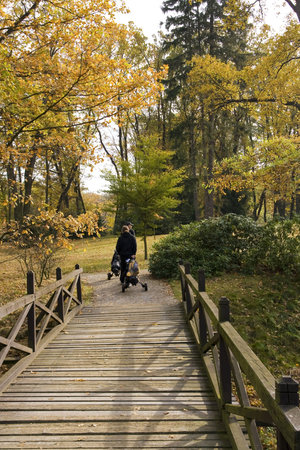 golfers walking on a bridge in autumn landscape