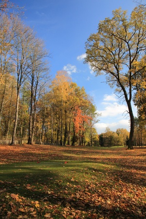 tee of autumn golf courseの写真素材