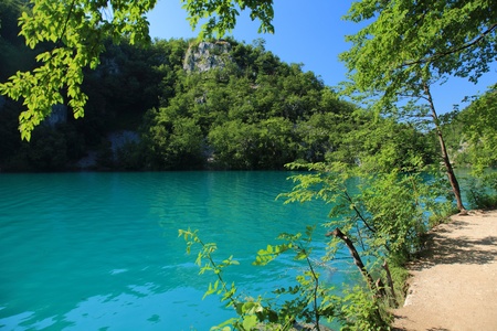 beautiful lake in  forest of national park plitvice, croatiaの写真素材