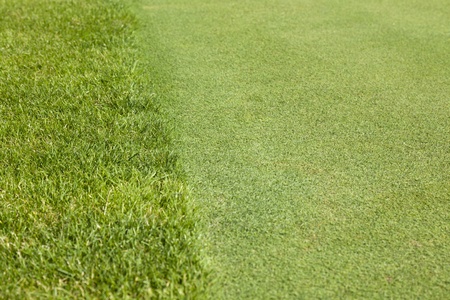 putting green of a beautiful golf courseの写真素材