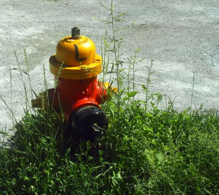 Red and yellow fire hydrant  surrounded by grass.               の写真素材
