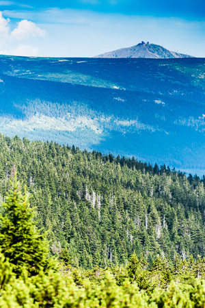 Very distant view of Snezka in Krkonose National Park (Giant Mountains), the highest mountain of Czech Republic. The view thru the forest and ravine.の写真素材