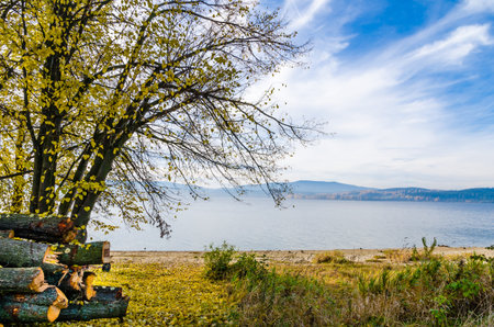 View on shore of Lipno Lake with woods and trees in autumn in Czech Republic. Mist above lake.の写真素材