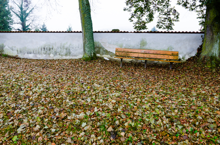 The wall and bench behind the cemetery. Taken in autumn in Czech Republic, nice colors, very vibrant.の写真素材