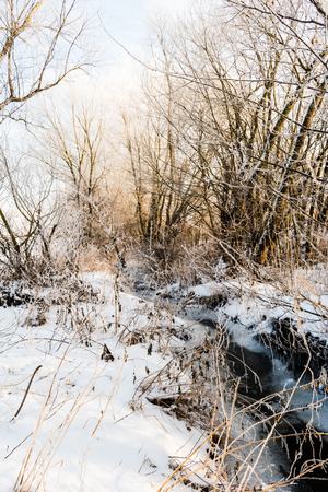 Beautiful winter scene with creek, trees and snow on the ground.の写真素材